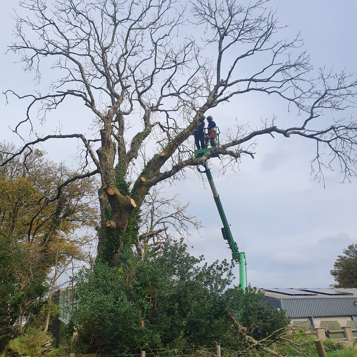 80f52455-f149-4b9c-b206-2e19dae2a9aa