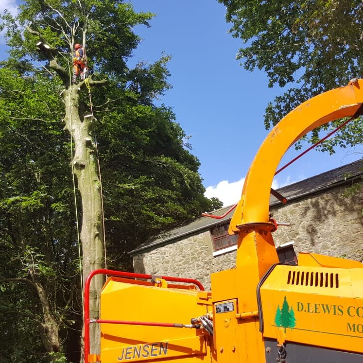 b944d70f-b755-40b7-bf6c-39906bd5faf2